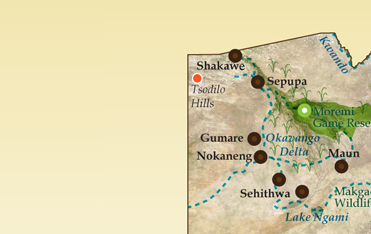 Okavango Delta and Moremi Game Reserve