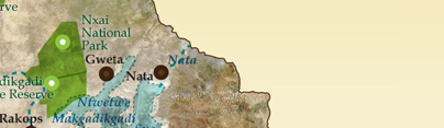 Makgadikgadi and Nxai Pan