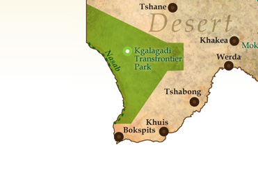 Kgalagadi- Transfrontier Park and Mabuasehube Game Reserve