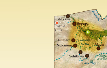 Okavango Delta and Moremi Game Reserve