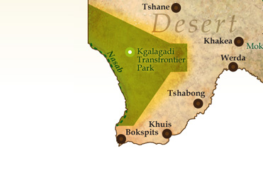 Kgalagadi- Transfrontier Park and Mabuasehube Game Reserve